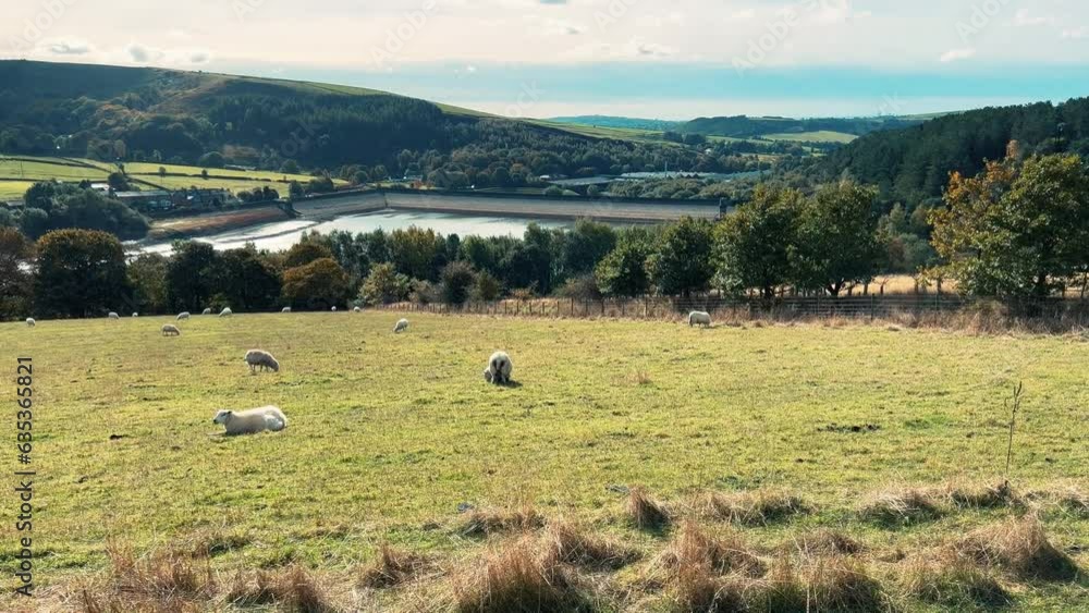 Ogden Saddleworth moor in Oldham, England of a series of Lakes, Reservoirs, set against a backdrop of moorland, woodlands and farmland pastures. Ogden Saddleworth moor in Oldham, England of a series of Lakes, Reservoirs, set against a backdrop of moorland, woodlands and farmland pastures.