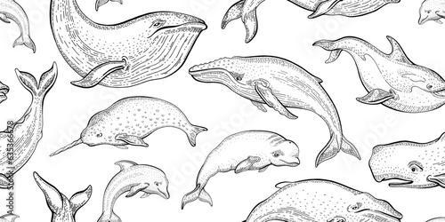 Whale pattern. Seamless vector sea whale illustration. Ocean animal background. Cute wallpaper. Marine outline print with underwater mammal fish algae. Water summer design texture. Sea seamless art