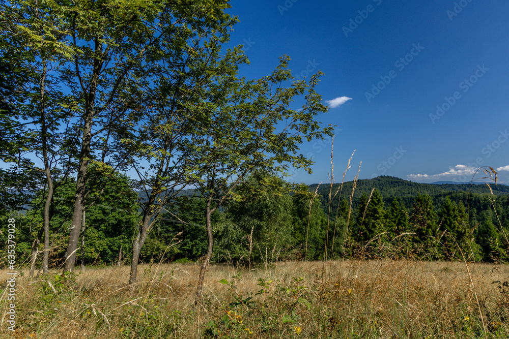 Hiking in the mountains of Beskid Śląski Hiking in the mountains of Beskid Śląski