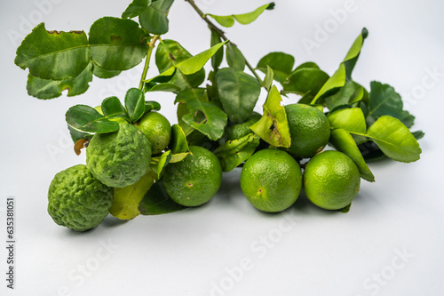 Bergamot and Green lime and petiole.on white background. © mongkol