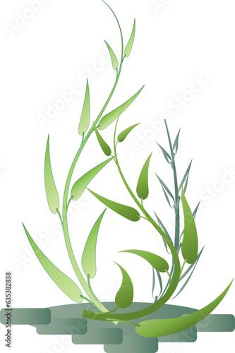 Fototapeta Naklejka Na Ścianę i Meble -  Botanical leaf aesthetic foliage plant for decorative abstract background