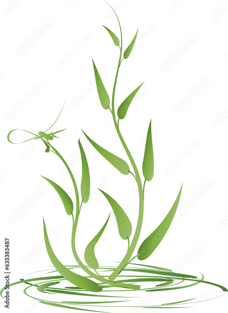 Fototapeta premium Botanical leaf aesthetic foliage plant for decorative abstract background