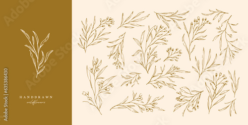 Wallpaper Mural wildflowers flowers hand drawn wild flower wild garden flower for organic logo floral logo or herb logo Torontodigital.ca