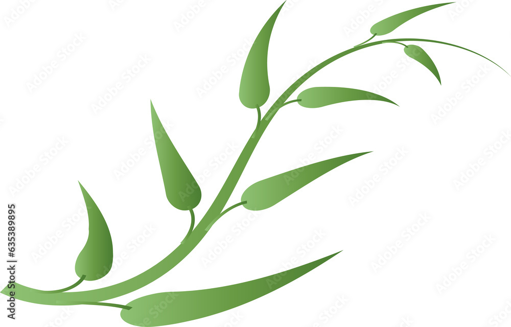 Fototapeta premium leaf foliage plant botanical for decorative abstract background