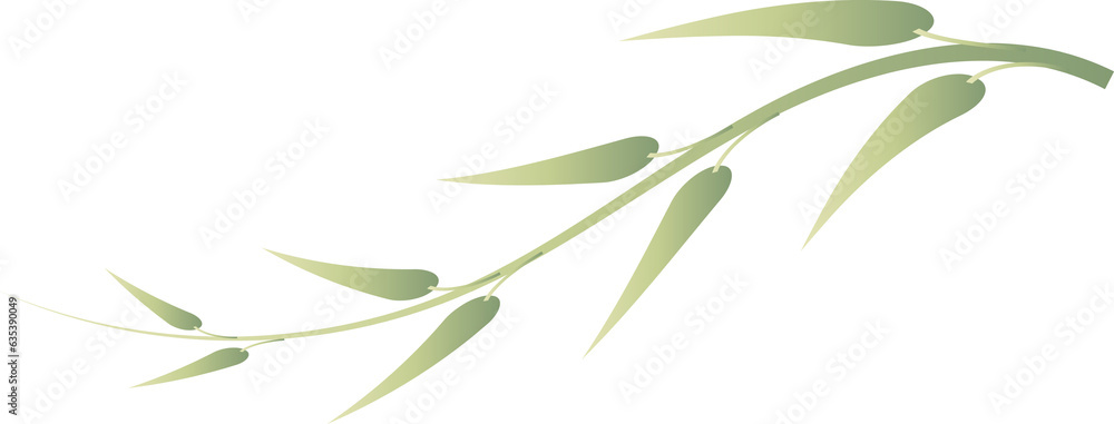 Fototapeta premium leaf foliage plant botanical for decorative abstract background