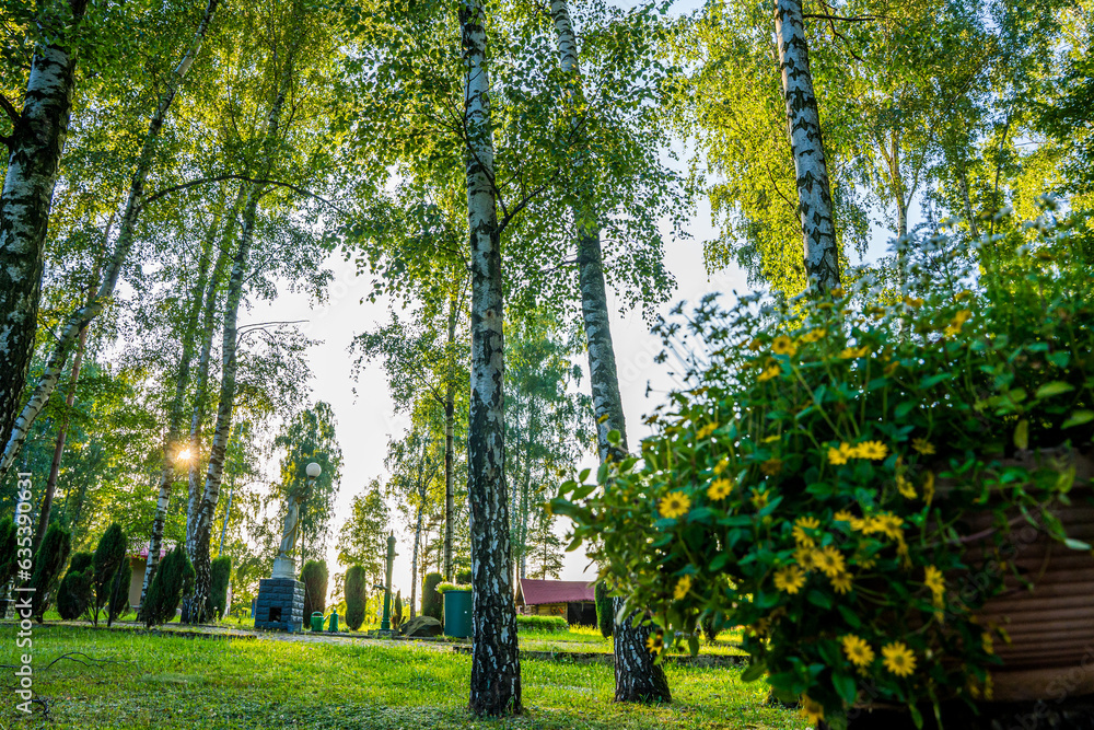 Park z drzewami liściastymi, pięknymi trawnikami, klombami kolorowych kwiatów i alejkami. Lato na Śląsku w Polsce, Rogów gmina Gorzyce.