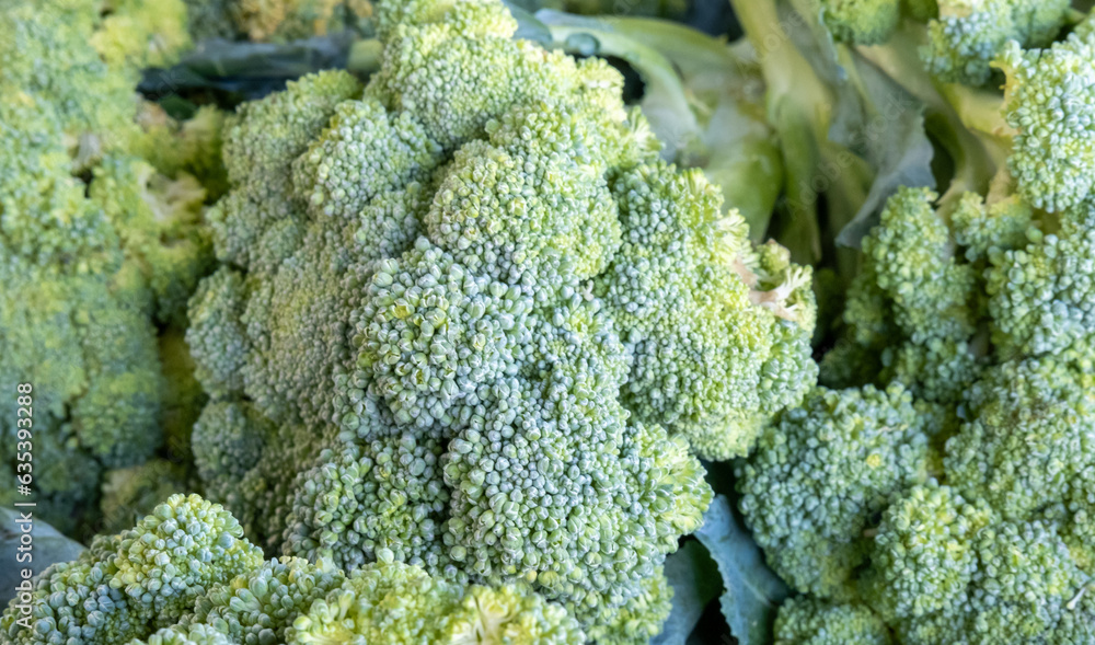 New harvest fresh broccoli at city farmers market for sale New harvest fresh broccoli at city farmers market for sale