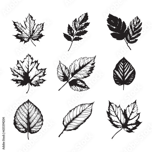Hand drawn leaf vector set