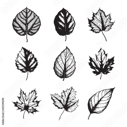 Hand drawn leaf vector set