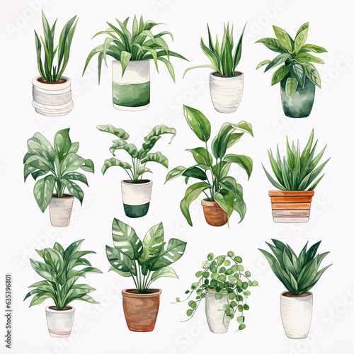 set of plants background watercolour 