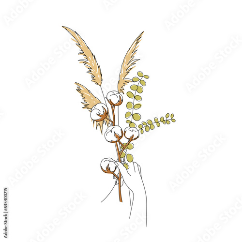 Hand holding a bouquet of flowers in minimalist graphics: Cotton, Pampas grass, Eucalyptus. Concept for a postcard. Line art.