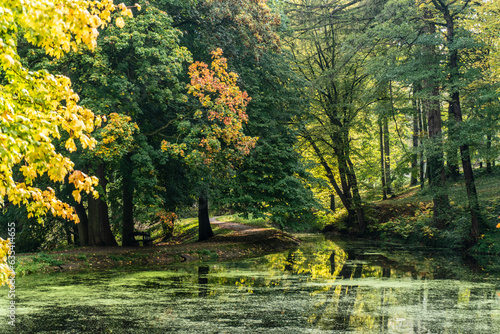 Traquil glassy pond in a autumnly wooded park
