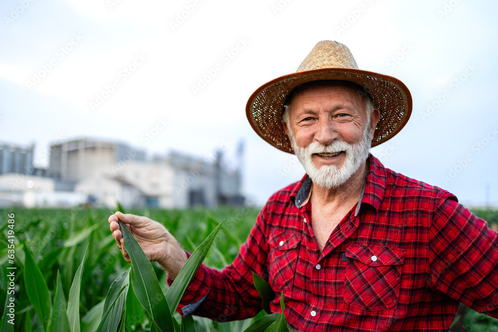 Portrait of agricultural worker or farmer wearing hat and standing in corn field.
