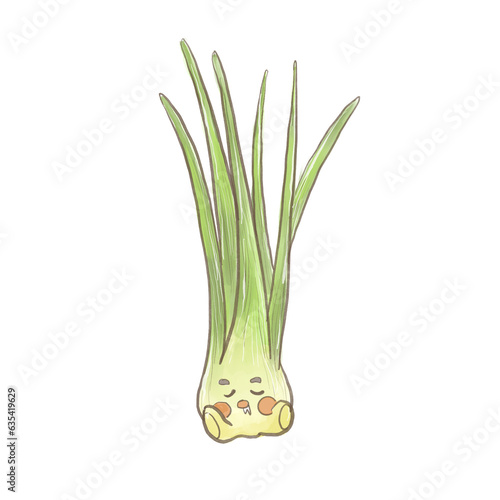 Lovely living vegetable farm