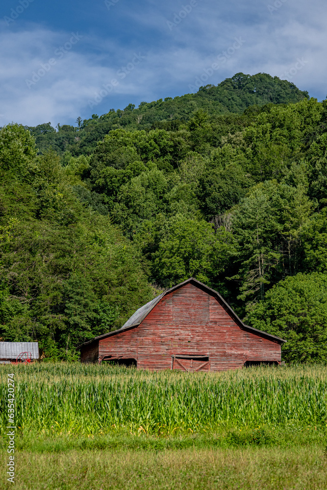 barn barn