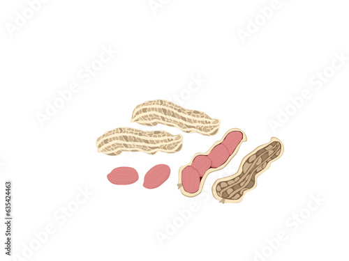 Arachis hypogaea on a white background.