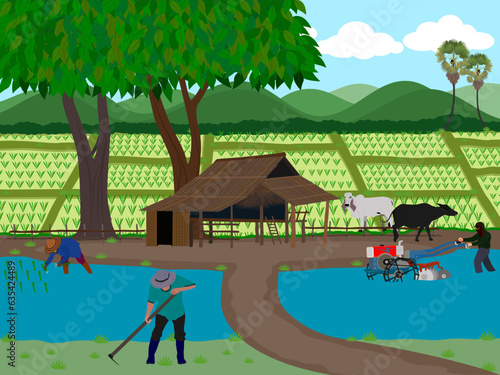 The view of the rice fields with farmers planting rice.