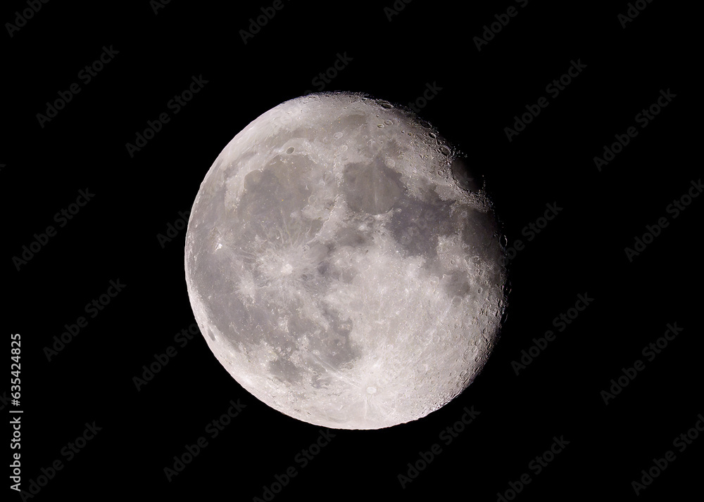 Obraz premium Lua Serenamente Suspensa no Manto Noturno