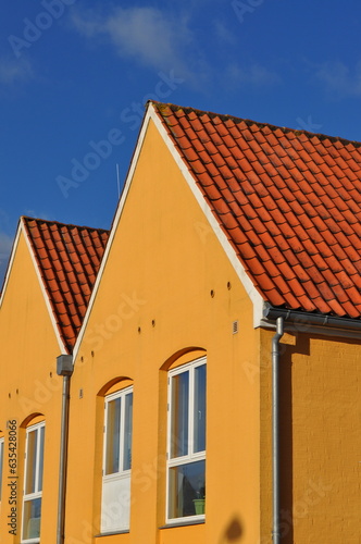 roof of the house