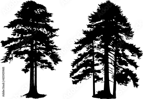 Redwood Tree Silhouette Collection