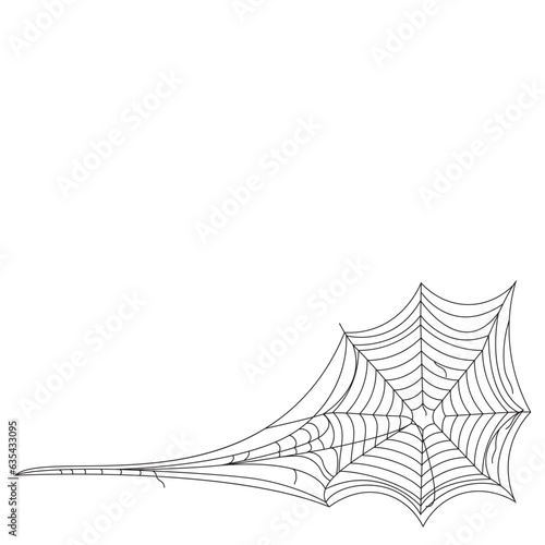 Halloween Spiderweb Illustration