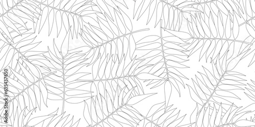 outline fern leaves seamless pattern photo