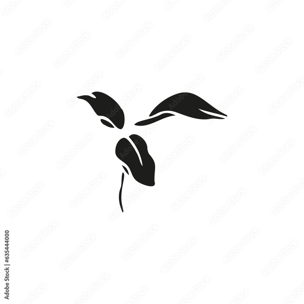 Lily flower hand drawn design,isolate on white background Lily flower hand drawn design,isolate on white background