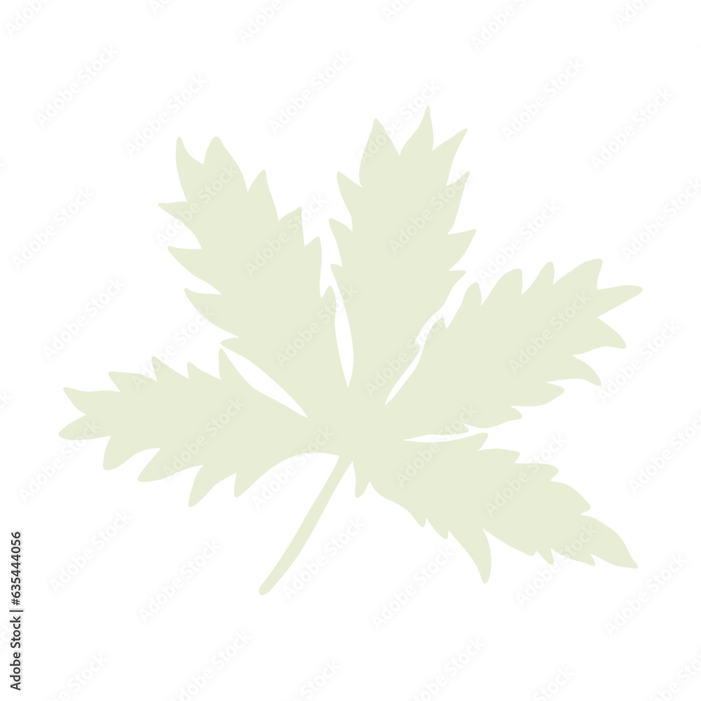 Hand drawn leaves, floral elements isolate on white background Hand drawn leaves, floral elements isolate on white background