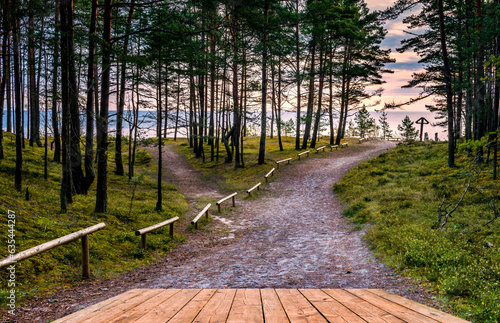 Footpath among pine forest leading to sandy beach of the Baltic Sea