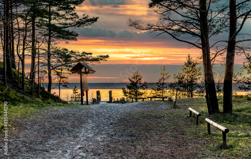Pine forest, wooden footpath and sandy shore of the Baltic Sea, concept of ec...