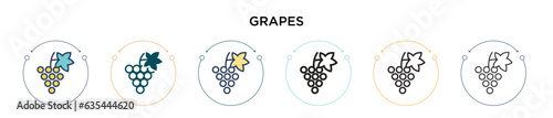 Grapes icon in filled, thin line, outline and stroke style. Vector illustration of two colored and black grapes vector icons designs can be used for mobile, ui, web