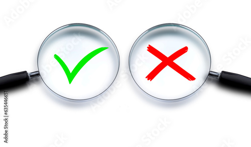 Lupe mit Grünem Ok Zeichen