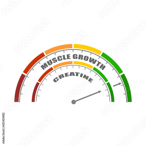 Abstract measuring device. Influence of creatine on muscle mass building. Scales of cause and effect.