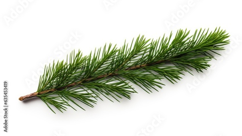 Pine branch isolated on white background. Fir tree branch isolated on white created with Generative AI technology