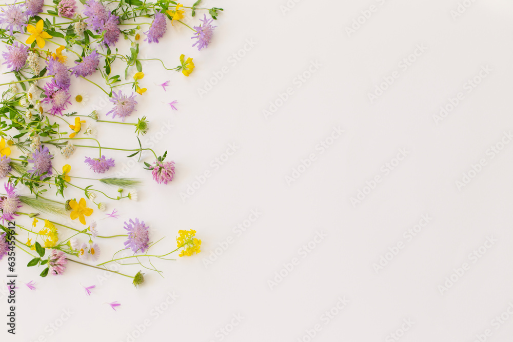 summer wild flowers on white paper background