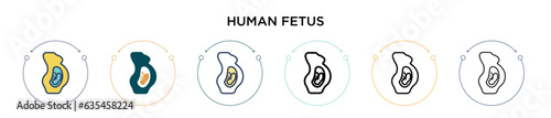 Human fetus icon in filled, thin line, outline and stroke style. Vector illustration of two colored and black human fetus vector icons designs can be used for mobile, ui, web