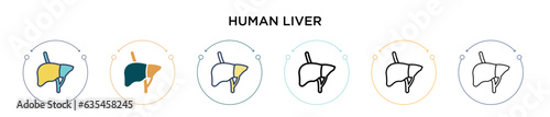Human liver icon in filled, thin line, outline and stroke style. Vector illustration of two colored and black human liver vector icons designs can be used for mobile, ui, web