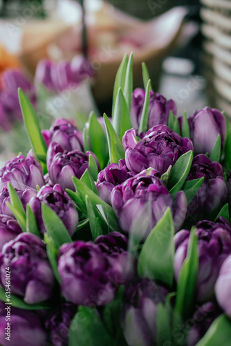 Tulipe