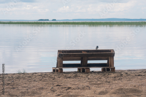 bird sitting on a bench made of old pallets on a sandy shore of a vast lake