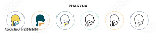 Pharynx icon in filled, thin line, outline and stroke style. Vector illustration of two colored and black pharynx vector icons designs can be used for mobile, ui, web