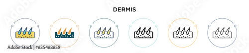 Dermis icon in filled, thin line, outline and stroke style. Vector illustration of two colored and black dermis vector icons designs can be used for mobile, ui, web