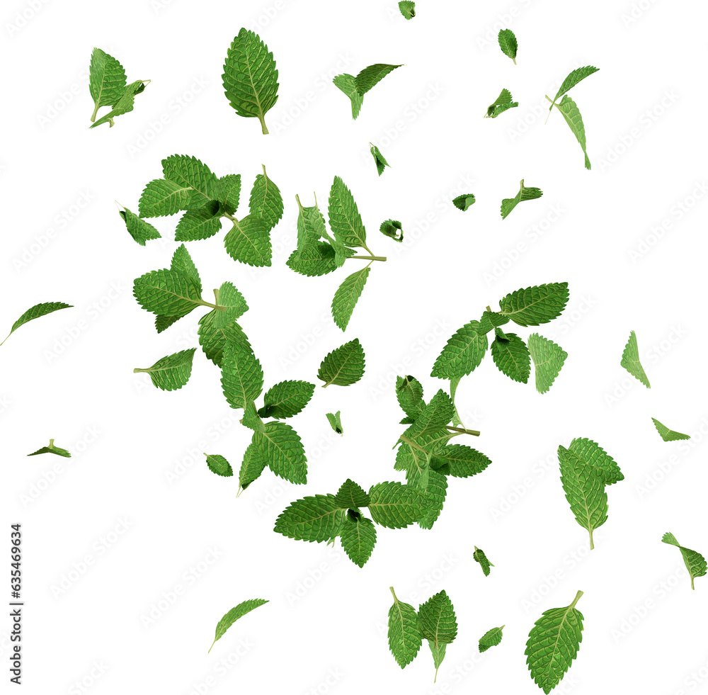 3d render flying mint leaves 3d render flying mint leaves