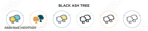 Fototapeta Naklejka Na Ścianę i Meble -  Black ash tree icon in filled, thin line, outline and stroke style. Vector illustration of two colored and black black ash tree vector icons designs can be used for mobile, ui, web