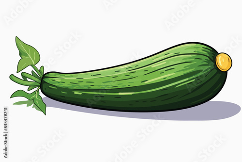 Zucchini vector flat minimalistic isolated illustration