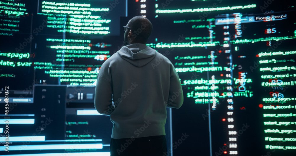Back View of Young Black Man Looking Towards a Big Digital Screens Glitching While Displaying Code Lines. Worried Professional Programmer Fixing a Software Bug, Dealing with Crashing System Back View of Young Black Man Looking Towards a Big Digital Screens Glitching While Displaying Code Lines. Worried Professional Programmer Fixing a Software Bug, Dealing with Crashing System