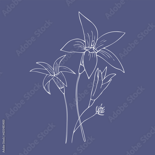One line vector illustration for your design. Blue and white ornament with lilies. Wedding, invitation or greeting card.                        