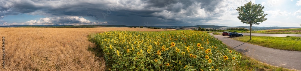 Huge storm clouds over a sunflower field in Taunus/Germany