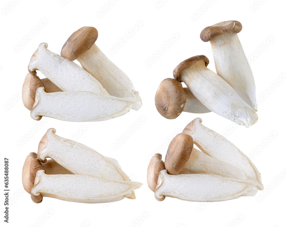 Fototapeta premium oyster mushrooms on transparent png