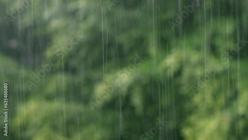 Rainstorm in summer, rain scenery in the forest