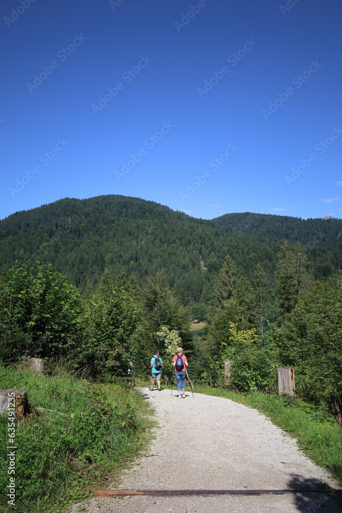 nordic walking in trail in bavaria, germany